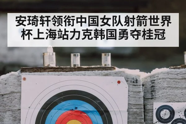 archery target closeup
